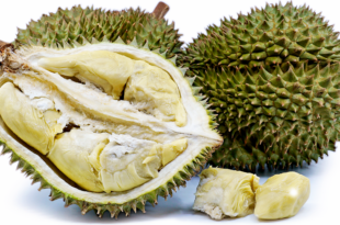 Which fruit is the king of Malaysia in 2025?